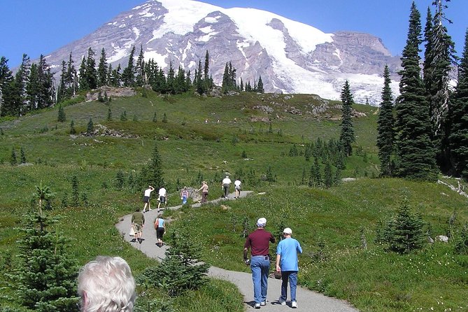 Mt. Rainier Day Tour from Seattle - Narada Falls + Christine Falls Viewpoint: Classic Water, Minimal Fuss
