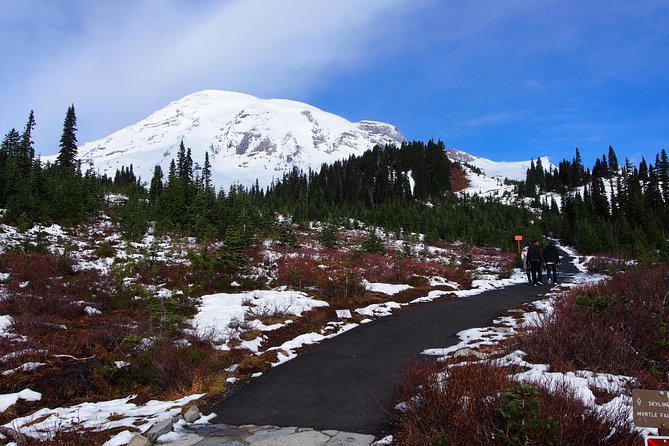 Mt. Rainier Day Tour from Seattle - Reflection Lakes, Tipsoo Lake, and Twin Firs: The “If We Can” Photo Stops