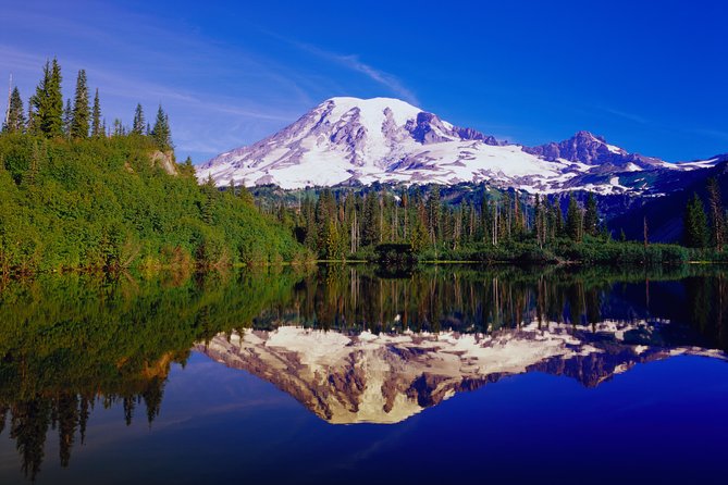 Mt. Rainier Day Tour from Seattle - Elbe and Winter Reality: Snowshoes, Weather, and Road Delays