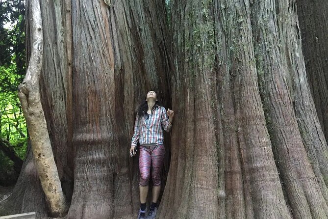 Mt. Rainier highlights - old forest, falls and glaciers - Price and value: what $179 buys you (and what it doesn’t)