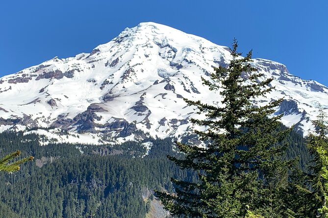 Mt. Rainier highlights - old forest, falls and glaciers - Narada Falls and Christine Falls: waterfalls without the scramble tax