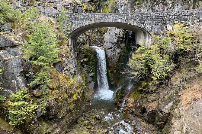 Mt. Rainier highlights - old forest, falls and glaciers - Group size and guide style: small group means you actually see things