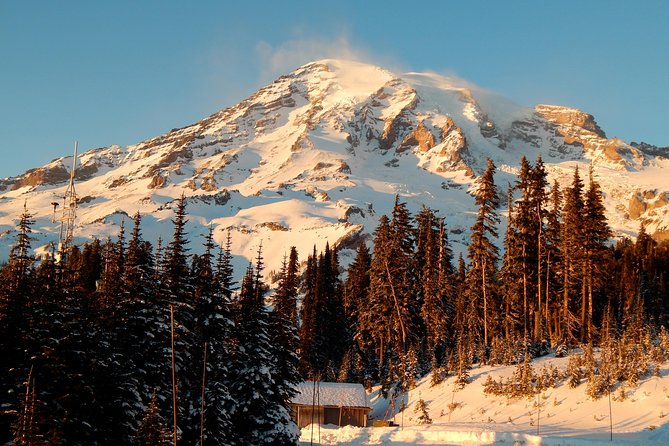 Mt. Rainier National Park Highlights Tour - Key highlights that make this tour worth it