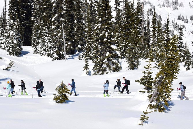 Mt. Rainier National Park Highlights Tour - From Seattle to Mt. Rainier: the early start and the payoff