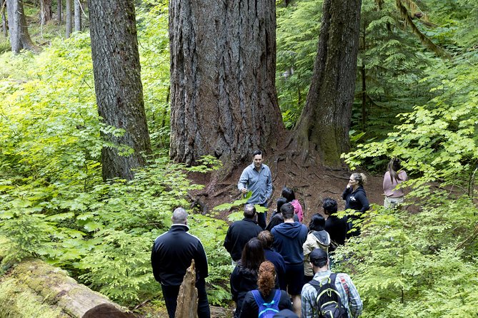 Mt. Rainier National Park Highlights Tour - Narada Falls along the Nisqually River: the waterfall highlight moment
