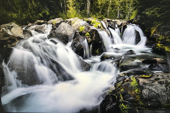 Mt. Rainier National Park Highlights Tour - Paradise Valley at 5,400 feet: the big payoff and the winter limits
