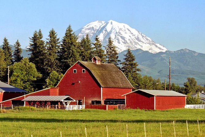 Mt. Rainier National Park Highlights Tour - Twin Firs Loop: short old-growth walking that feels special