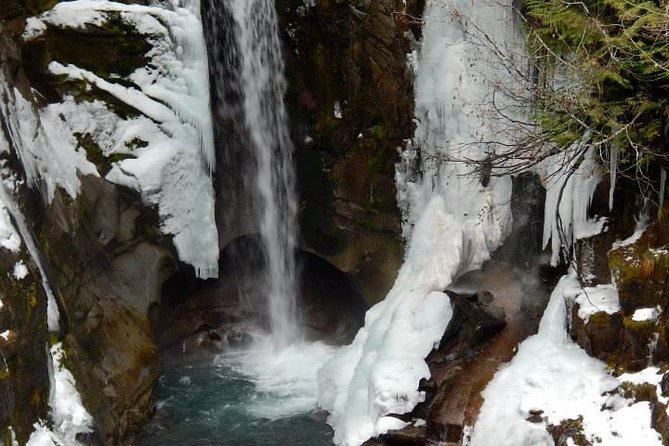 Mt. Rainier National Park Highlights Tour - The guide factor: narration plus route flexibility