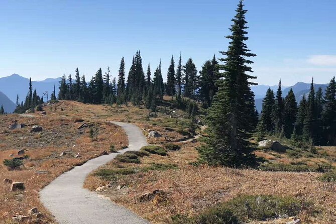 Mt Rainier National Park Small Group Day Tour from Seattle 2CanGo - Key things I’d circle before you book