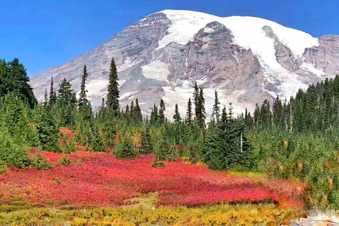 Mt Rainier National Park Small Group Day Tour from Seattle 2CanGo - Christine Falls: the easy win if you want big views fast
