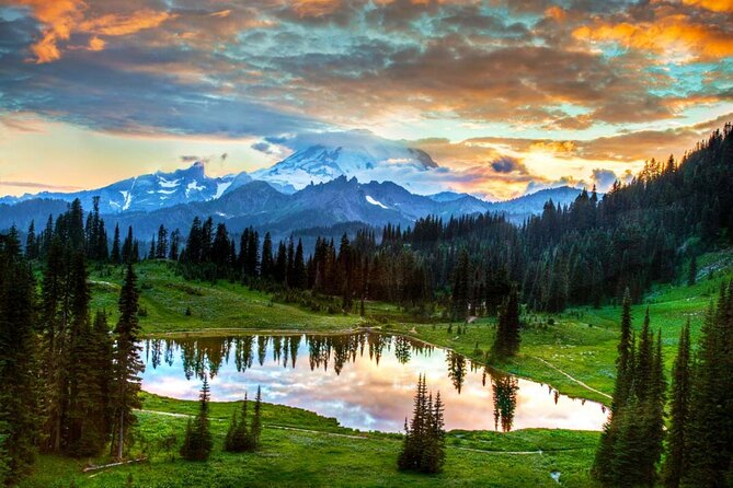 Mt Rainier National Park Small Group Day Tour from Seattle 2CanGo - Pickup and the “small group” pace: how the morning sets the tone