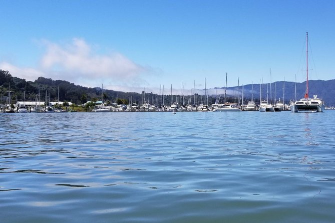 Muir Woods and Sausalito Morning Tour Small-Group Half Day - Why the Van Ride Feels Part of the Experience
