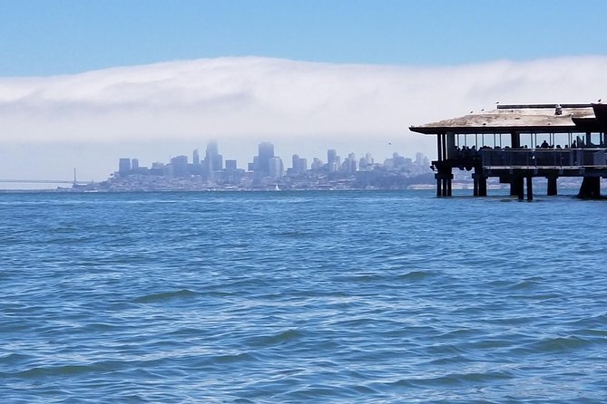 Muir Woods and Sausalito Morning Tour Small-Group Half Day - Who This Tour Fits Best (and Who Might Pass)