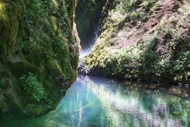 Multnomah Falls and Columbia River Gorge Half-Day Hiking Tour - Price and value: what $73 buys you in real time