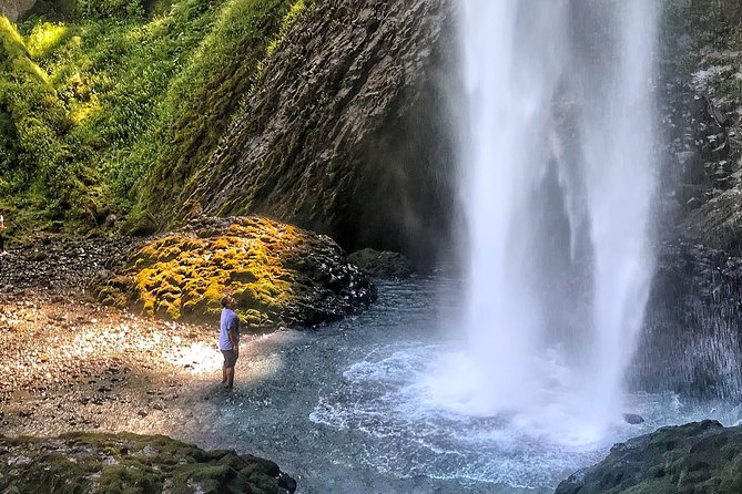 Multnomah Falls and Columbia River Gorge Half-Day Hiking Tour - Latourell Falls: basalt scenery and an optional longer hike