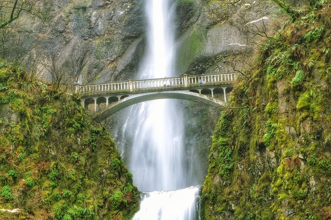 Multnomah Falls and Columbia River Gorge Half-Day Hiking Tour - The 4-hour plan: how the timing stays tight