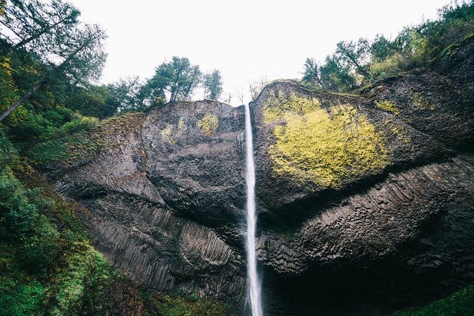 Multnomah Falls and Columbia River Gorge Waterfalls Tour Morning - Horsetail Falls and the Waterfall Corridor Finish