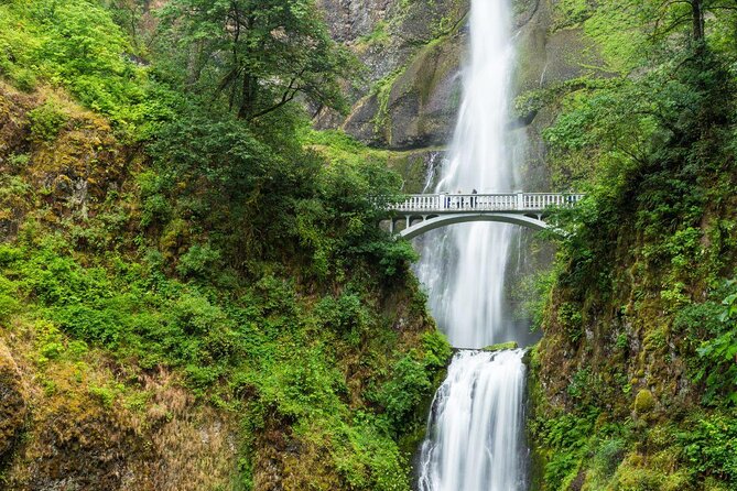 Multnomah Falls and Columbia River Gorge Waterfalls Tour Morning - The Gorge Views Start Fast: Portland Women’s Forum and Crown Point