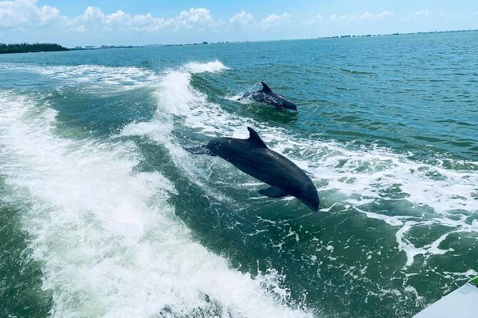 Myrtle Beach Dolphin Cruise - Key points that matter before you go