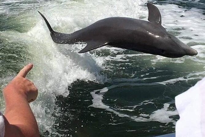 Myrtle Beach Dolphin Cruise - Big M Casino dock to open water: how this cruise starts