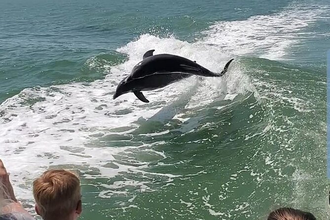 Myrtle Beach Dolphin Cruise - Calabash and the North Carolina seafood stop: why it’s on the route