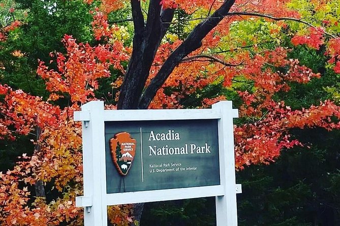 Narrated Bus Tour of Bar Harbor and Acadia National Park - Thunder Hole on Ocean Drive: Ocean Noise, Tight Timing, and a Dry Plan