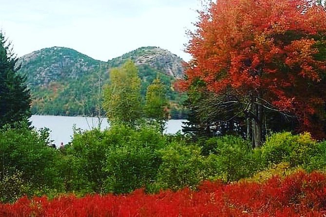 Narrated Bus Tour of Bar Harbor and Acadia National Park - Price and Value: What $67.31 Buys You Here