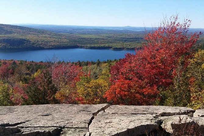 Narrated Bus Tour of Bar Harbor and Acadia National Park - Weather Reality: When Fog and Rain Change What You See