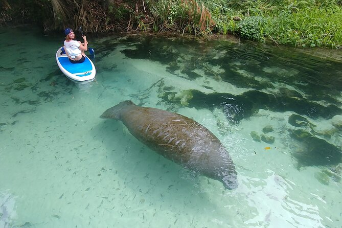 Nature & Island Exploration on SUP/Kayak - Key Things I’d Watch Before You Go