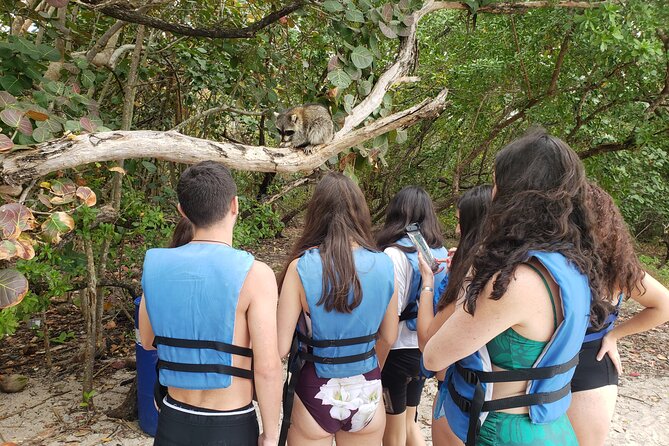 Nature & Island Exploration on SUP/Kayak - Miami Mangroves Are a Change of Pace From the Usual