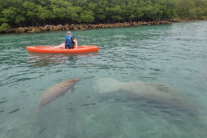 Nature & Island Exploration on SUP/Kayak - Venetian Marina Check-In and the Paddling Basics Moment