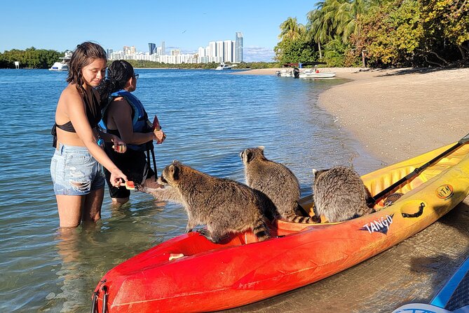 Nature & Island Exploration on SUP/Kayak - Choosing SUP vs Kayak Without Overthinking It