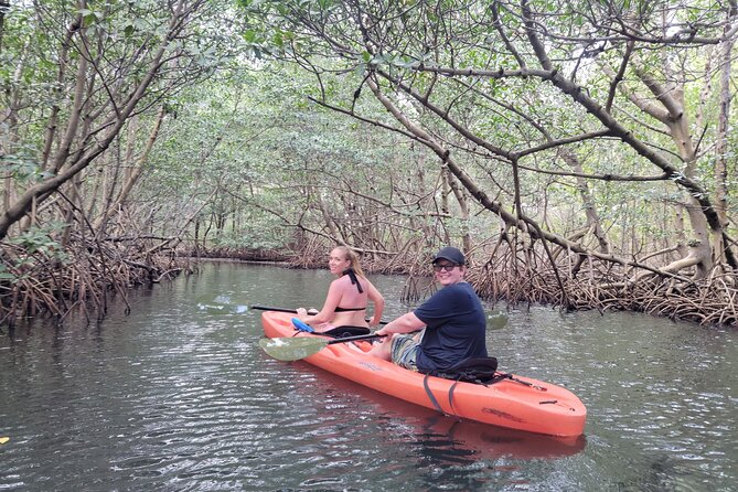 Nature & Island Exploration on SUP/Kayak - Raccoon Island: The Part Many People Remember Most