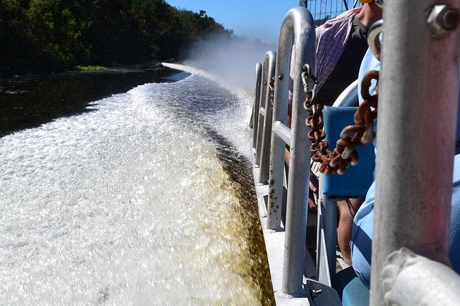 New Orleans Airboat Ride - What the guide adds: stories, gator know-how, and real bayou personality