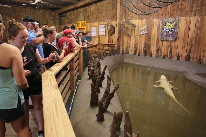 New Orleans Airboat Ride - Weather, comfort, and what to pack for an open-air ride