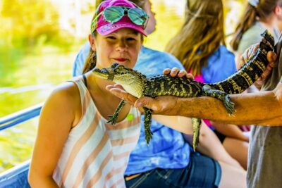 New Orleans: Bayou Swamp Tour and Oak Alley Plantation Tour - Price and what you get for $125: pickup, narration, and plantation entry