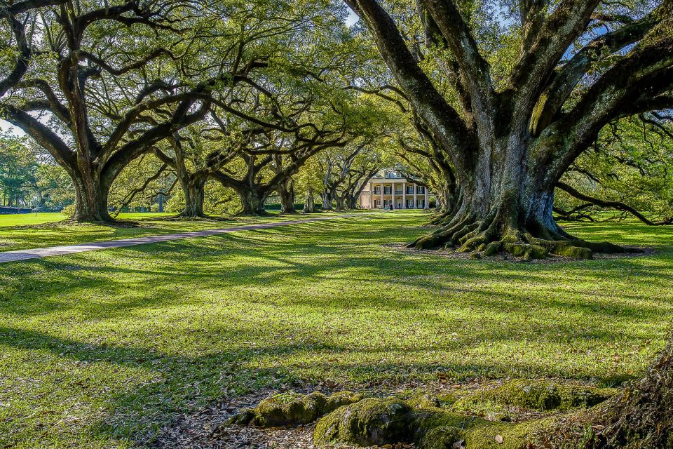 New Orleans: Bayou Swamp Tour and Oak Alley Plantation Tour - Snack breaks, gift shop time, and restroom reality at Cajun Pride