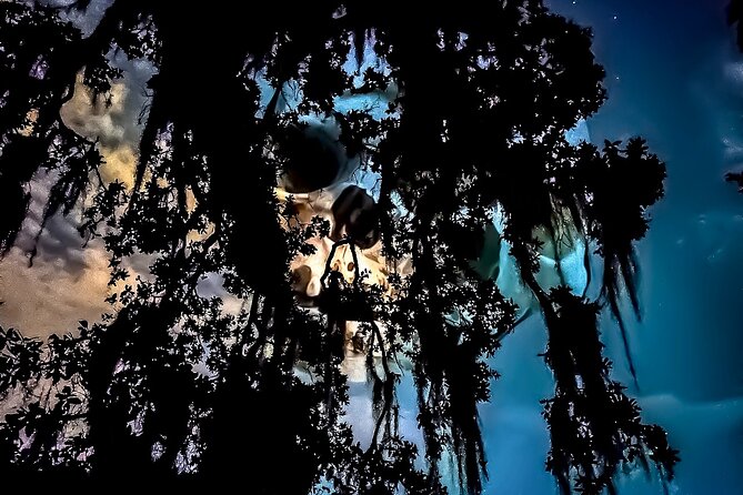 New Orleans Dead of Night Ghosts and Cemetery Bus Tour - Why this Dead of Night tour feels different outside the French Quarter