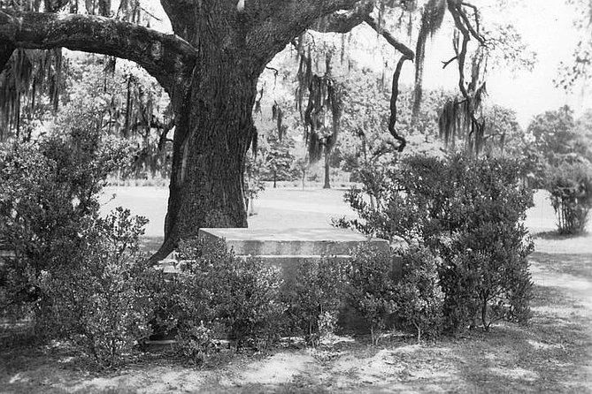 New Orleans Dead of Night Ghosts and Cemetery Bus Tour - Charity Hospital Cemetery: why the city talks about it at night