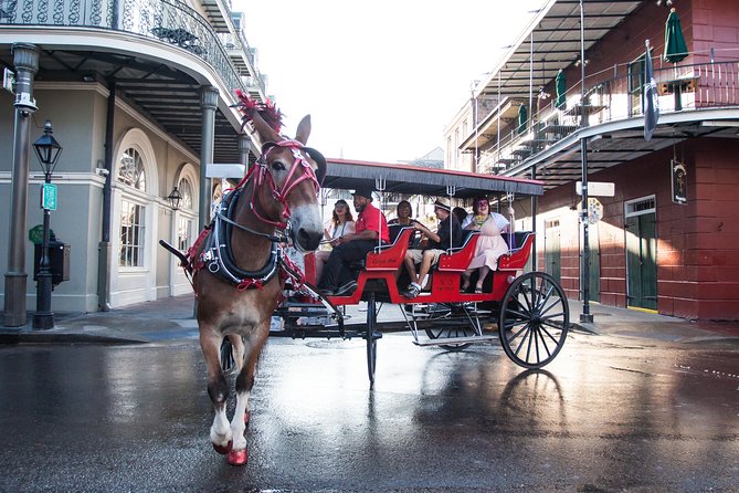 New Orleans French Quarter and More Carriage Ride - Getting started on Decatur Street: timing and first impressions