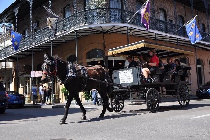New Orleans French Quarter and More Carriage Ride - Marigny side streets: why the ride’s second neighborhood feels like a bonus