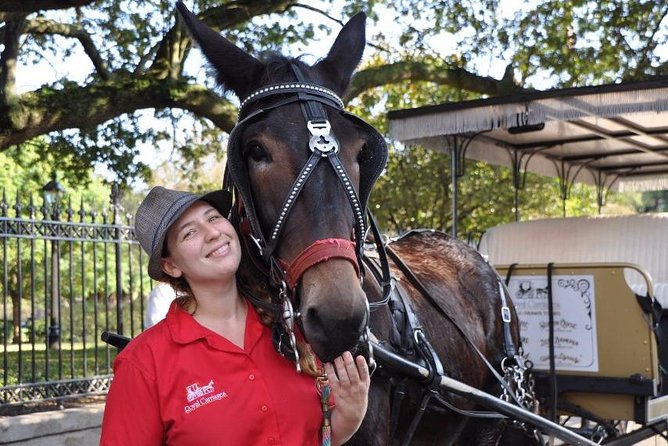 New Orleans French Quarter and More Carriage Ride - Insider tips that pay off after the hour ends