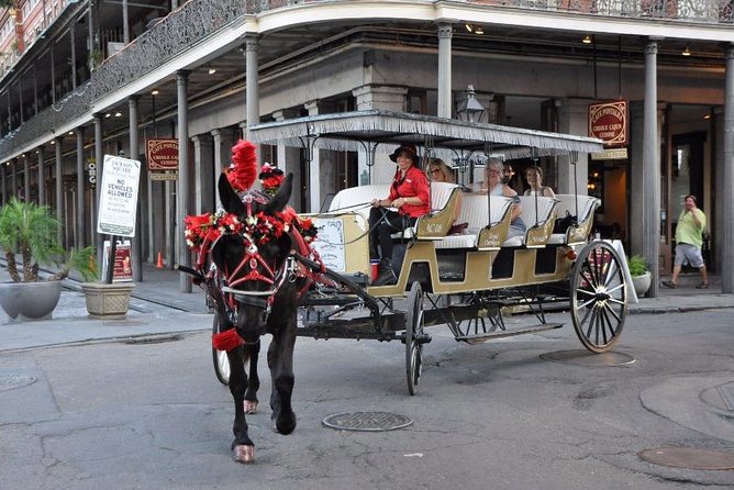 New Orleans French Quarter and More Carriage Ride - Comfort and sightline realities: covered top, but bring the right expectations