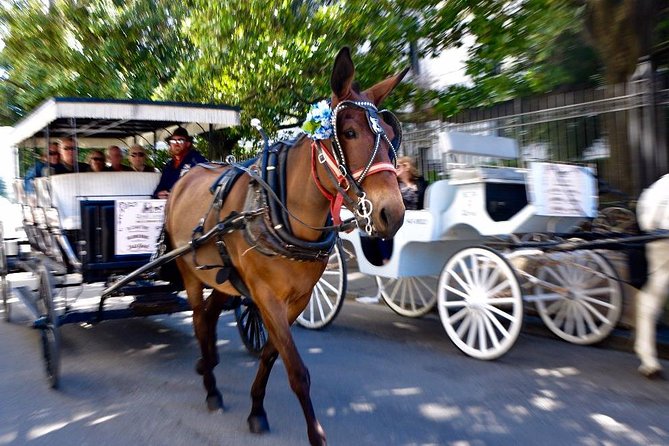 New Orleans French Quarter and More Carriage Ride - Weather checks and what to do if plans change