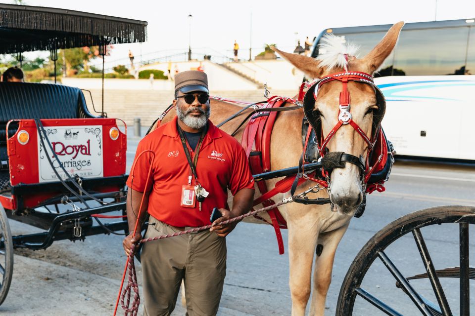 New Orleans: French Quarter Sightseeing Carriage Ride - Rain, parade routes, and street closures: how New Orleans can change the plan