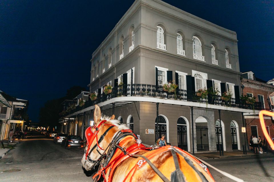 New Orleans: French Quarter Sightseeing Carriage Ride - Your guide and the mule: why names show up in the stories