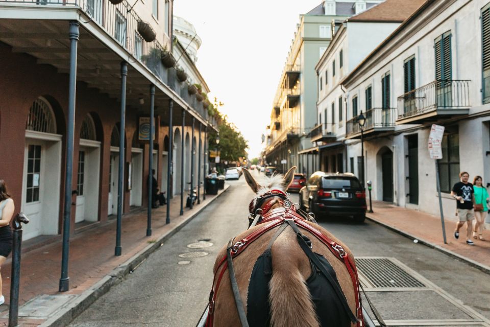 New Orleans: French Quarter Sightseeing Carriage Ride - Price and value: is $65 worth it for an hour?