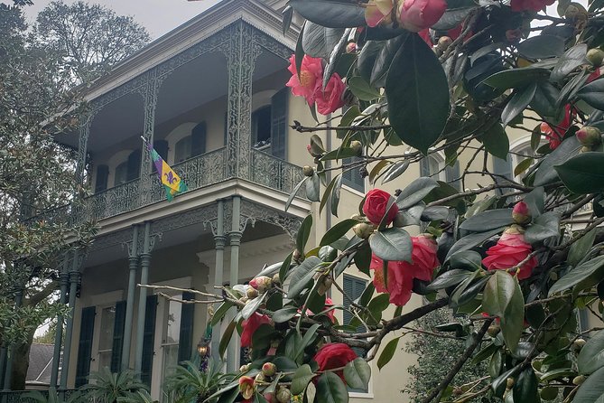 New Orleans Garden District History Walking Tour - Pacing and group size: how the tour feels on the ground