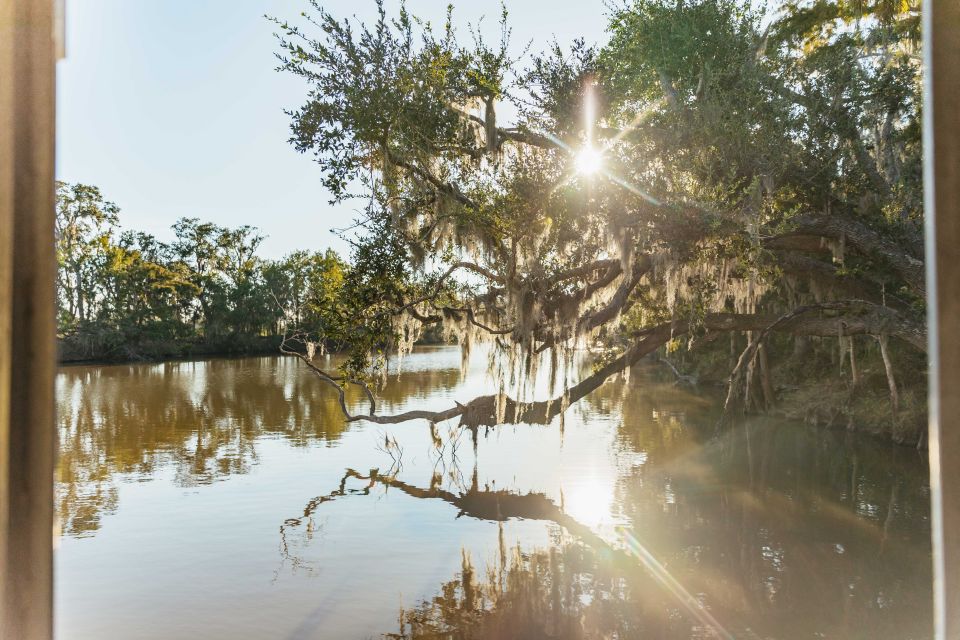 New Orleans: Guided Swamp Cruise by Tour Boat - Boarding day: what the boat feels like in real weather
