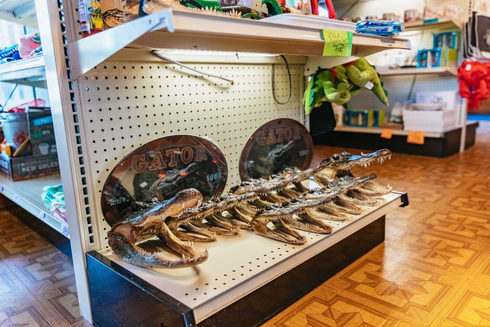 New Orleans: Guided Swamp Cruise by Tour Boat - Winter vs warmer months: how to aim your expectations (and photos)